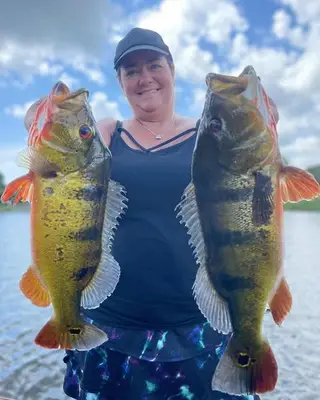 Double Peacock Bass Lady