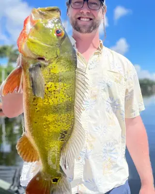 Hawaiian Shirt Peacock Bass