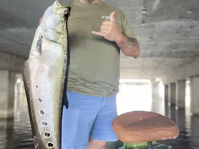 David Fincher's catch