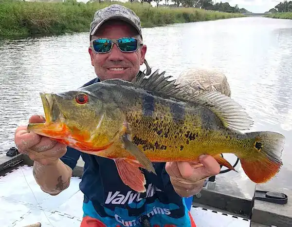 Captain Skip with Peacock Bass